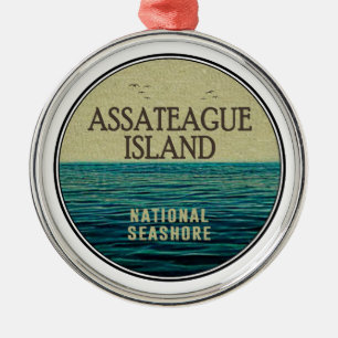 Asateague Island National Seashore Ocean Birds Julgransprydnad Metall