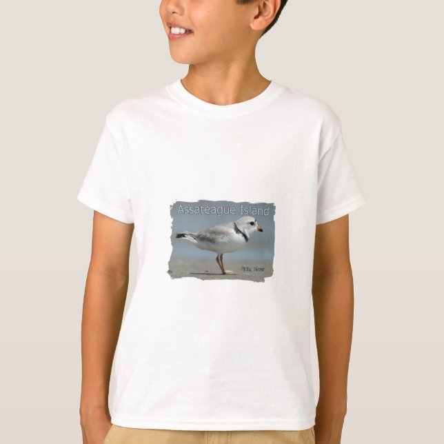 Asateague Island Piping Plover Tee Shirt (Framsida)