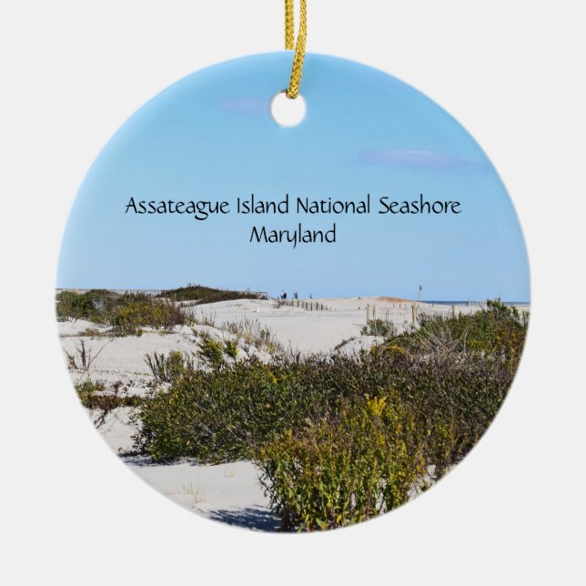 Asateague Island Round Ornament (Framsidan)