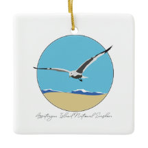 Asateague Island Sea Gull över Beach