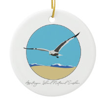 Asateague Island Sea Gull över Beach