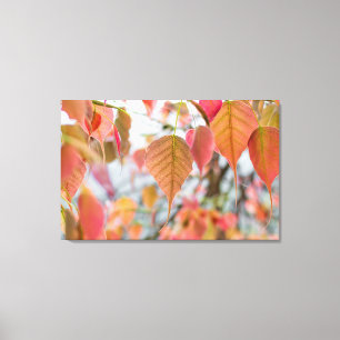 Asathu Plant Baby Lövs Load buddha Canvastryck