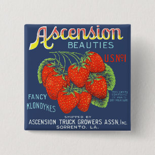 Ascension Beauties Finare Klondykes Strawbär Knapp
