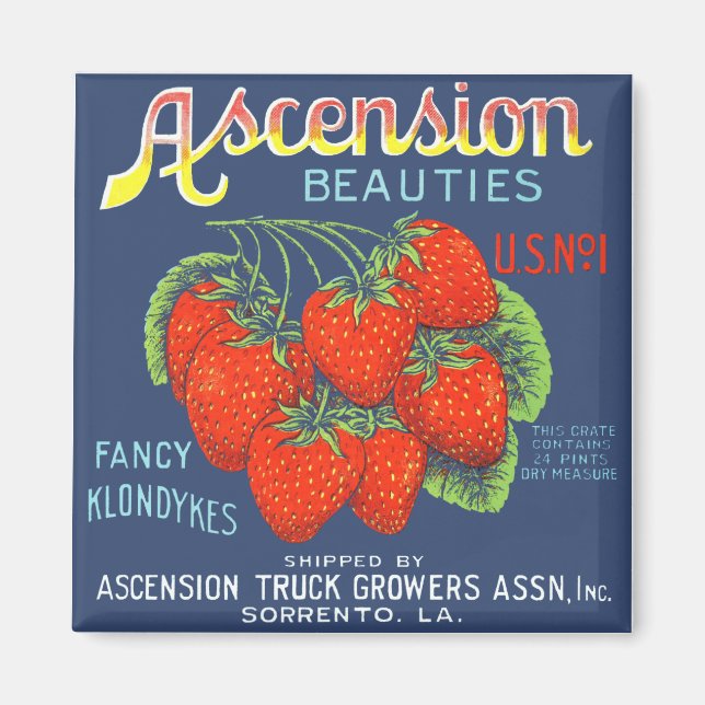 Ascension Beauties Strawbär Magnet (Framsidan)