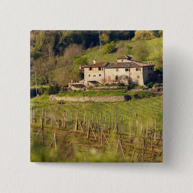 Aschuito, en fungerande gård som tar emot gäster, knapp (Framsida)