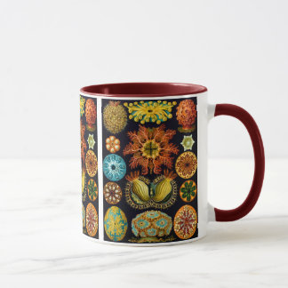 Ascidiacea (havskorrigor), Ernst Haeckel Fine Art Mugg