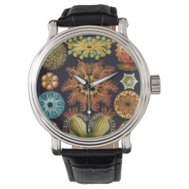 Ascidiae av Ernst Haeckel, antika marina djur Armbandsur