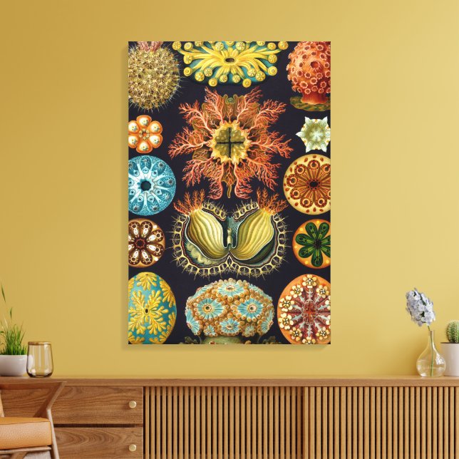 Ascidiae av Ernst Haeckel, Antika marina djur Canvastryck (Insitu (Vardagsrum))