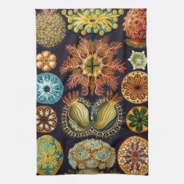 Ascidiae av Ernst Haeckel, Antika Marina Djur Kökshandduk