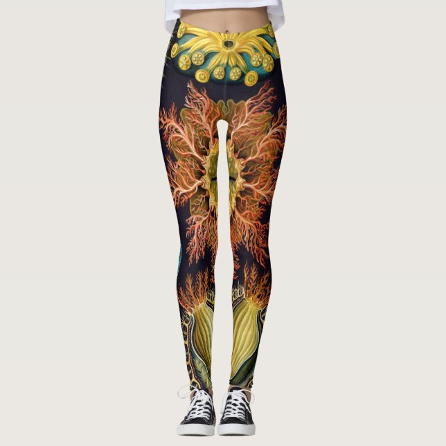 Ascidiae av Ernst Haeckel, antika marina djur Leggings (Framsida)
