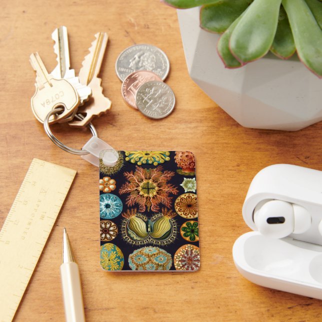 Ascidiae av Ernst Haeckel, Antika marina djur Nyckelring (Skrivbord)