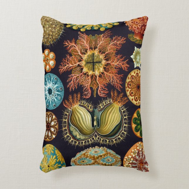 Ascidiae av Ernst Haeckel, Antika Marina Djur Prydnadskudde (Framsidan(Vertikal))