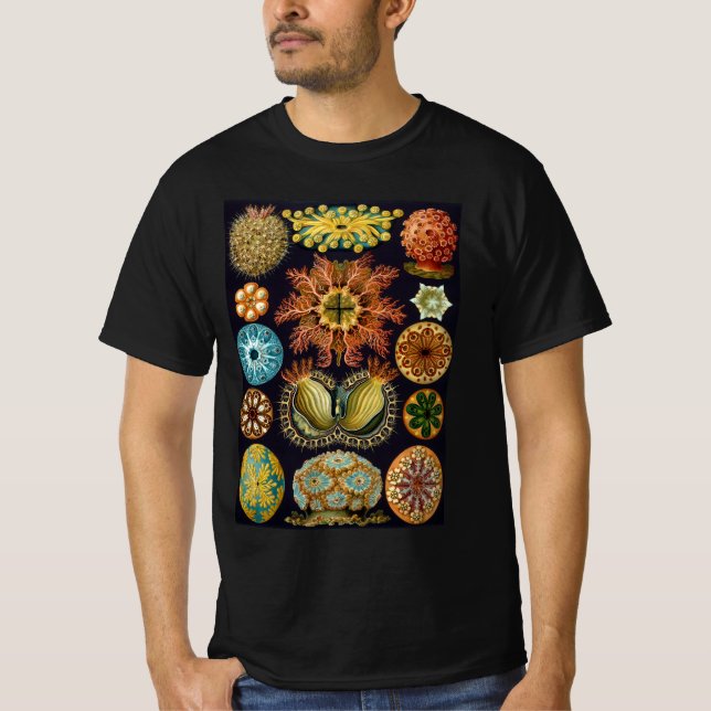 Ascidiae av Ernst Haeckel, Antika Marina Djur T-shirt (Framsida)