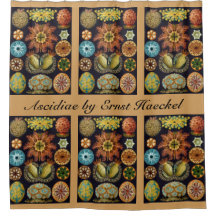 Ascidiae av Ernst Haeckel, Vintage Marine Animals