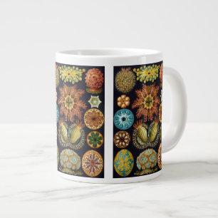 Ascidiae av Ernst Haeckel, Vintage Marine Animals Jumbo Mugg