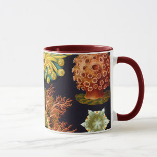 Ascidiae av Ernst Haeckel, Vintage Marine Animals Mugg