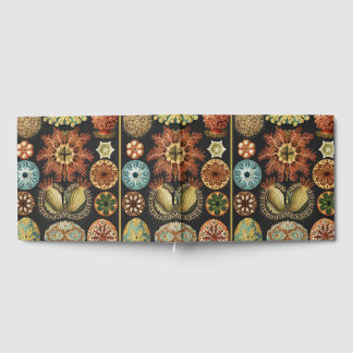 Ascidiae–Seescheiden Scientific Nature Ocean Gästböcker