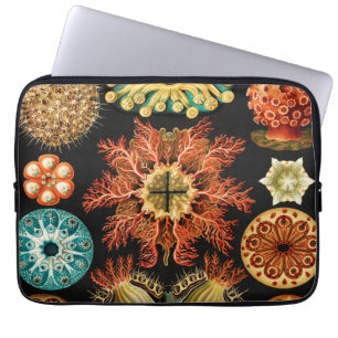 Ascidiae, sjöpungar marint liv av Ernst Haeckel Laptop Fodral