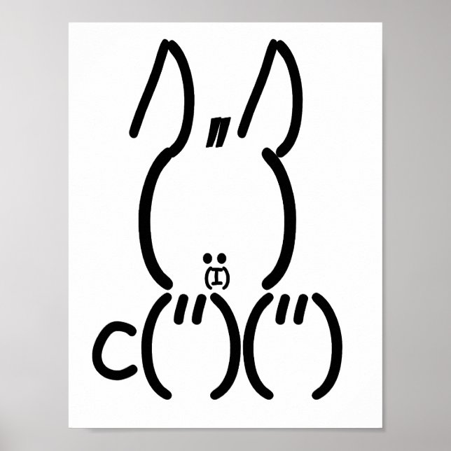 ASCII Rabbit Poster (Framsidan)