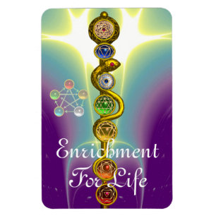 ASCLEPIUS 7 CHAKRAS,YOGA,ANDLIG ENERGI MAGNET