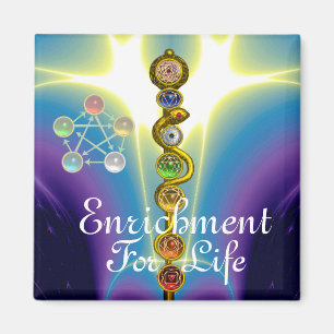 ASCLEPIUS 7 CHAKRAS,YOGA,ANDLIG ENERGI MAGNET