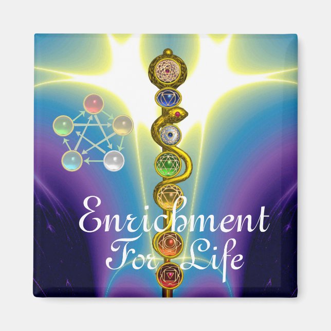 ASCLEPIUS 7 CHAKRAS,YOGA,ANDLIG ENERGI MAGNET (Framsidan)