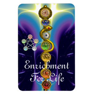 ASCLEPIUS 7 CHAKRAS,YOGA,ANDLIG ENERGI MAGNET