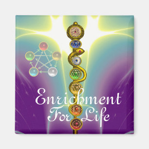 ASCLEPIUS 7 CHAKRAS,YOGA,ANDLIG ENERGI MAGNET