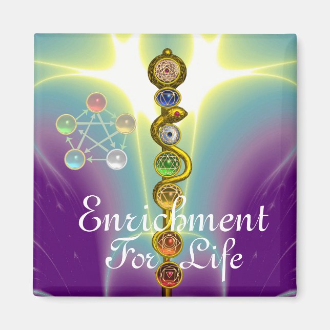 ASCLEPIUS 7 CHAKRAS,YOGA,ANDLIG ENERGI MAGNET (Framsidan)