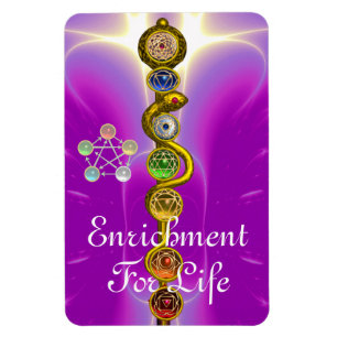 ASCLEPIUS 7 CHAKRAS,YOGA,ANDLIG ENERGI MAGNET