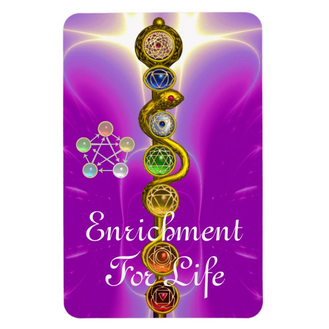 ASCLEPIUS 7 CHAKRAS,YOGA,ANDLIG ENERGI MAGNET (Vertikal)