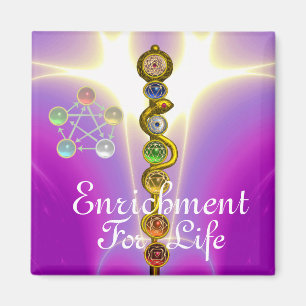 ASCLEPIUS 7 CHAKRAS,YOGA,ANDLIG ENERGI MAGNET