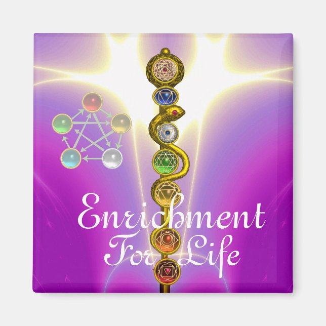ASCLEPIUS 7 CHAKRAS,YOGA,ANDLIG ENERGI MAGNET (Framsidan)