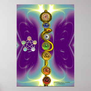 ASCLEPIUS 7 CHAKRAS,YOGA,ANDLIG ENERGI POSTER
