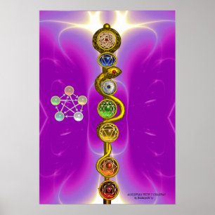 ASCLEPIUS 7 CHAKRAS,YOGA,ANDLIG ENERGI POSTER