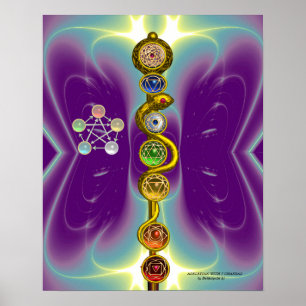 ASCLEPIUS 7 CHAKRAS,YOGA,ANDLIG ENERGI POSTER