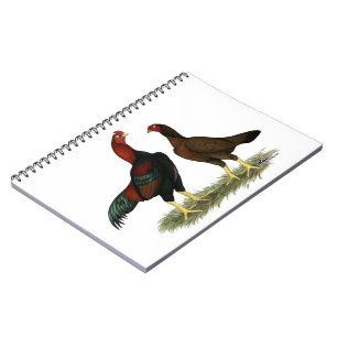Aseel Black Red Chickens Anteckningsbok