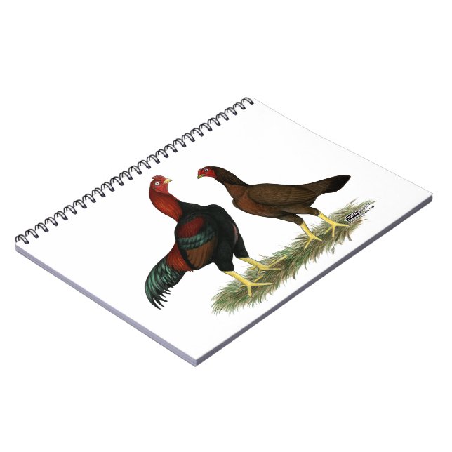 Aseel Black Red Chickens Anteckningsbok (Vänstra Sidan)