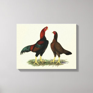 Aseel Black Red Chickens Canvastryck