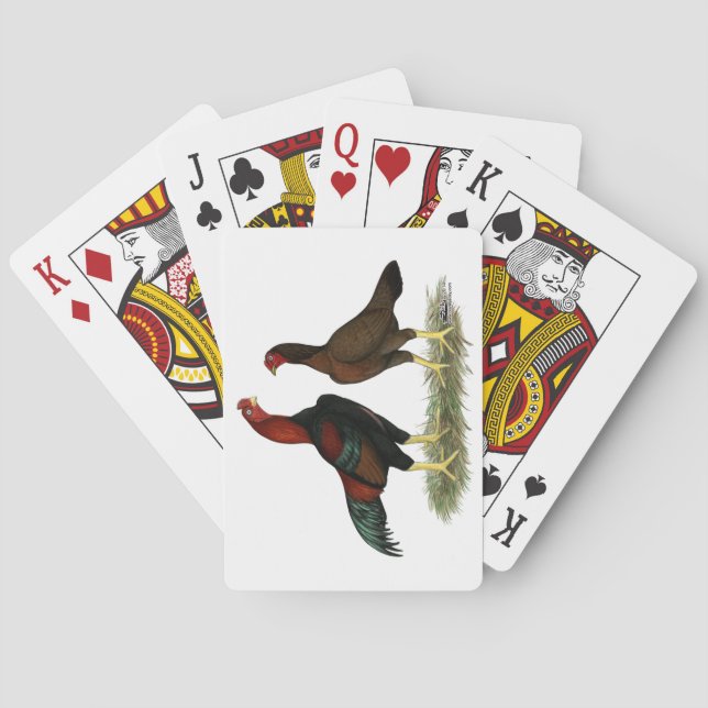 Aseel svarta röda höns casinokort (Baksidan)