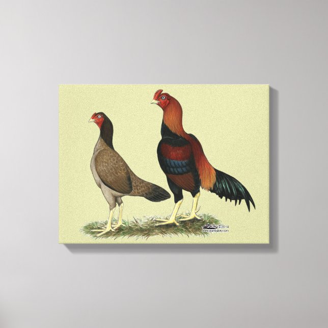 Aseel Wheaten höns Canvastryck (Framsida)