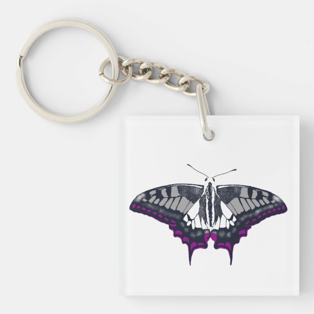 Asexual Flag Swallowtail Butterfly (Framsidan)