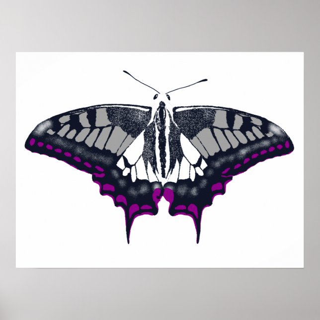 Asexual Flag Swallowtail Butterfly Poster (Framsidan)