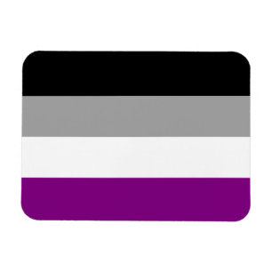 Asexual prideflagga magnet