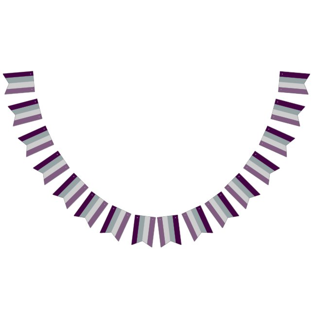 Asexuell Flagga Bunting Banner HGBT Party (Alla)