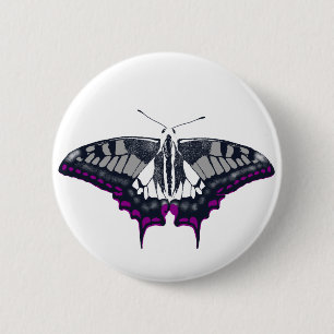 Asexuell Flagga Swallowtail Butterfly Knapp