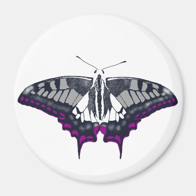 Asexuell Flagga Swallowtail Butterfly Magnet (Framsidan)