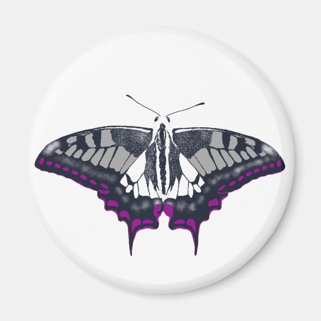 Asexuell Flagga Swallowtail Butterfly Magnet (Framsidan)