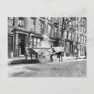 Ash Cart New York 1896 Vykort