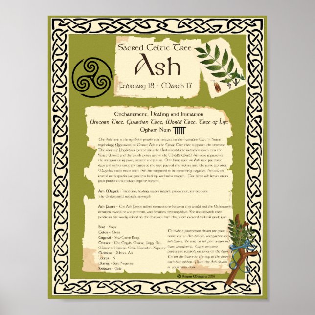 ASH CELTIC HELIG TRÄD POSTER (Framsidan)